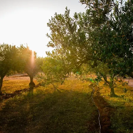 Baglio Custera Hotel 3*