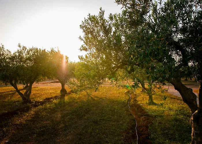 Baglio Custera Hotel 3*